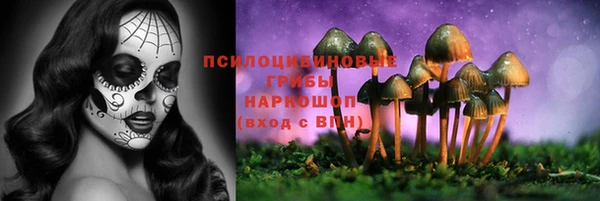 Альфа ПВП Красноперекопск